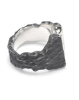 Resilient Revival: Ephemeral Radiance Ring