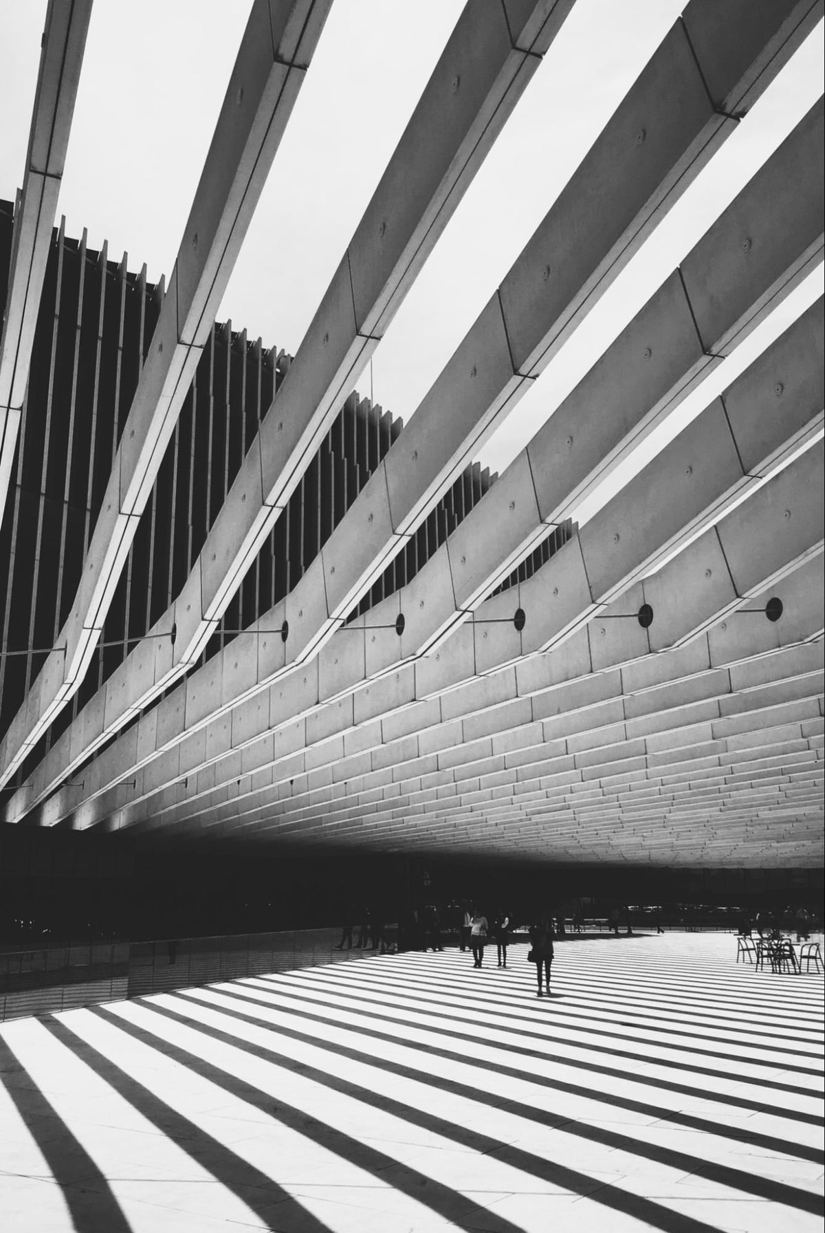 Transformed Design FASHION TRANSFORMED: THE TRANSCENDENT INFLUENCE OF ARCHITECTURE